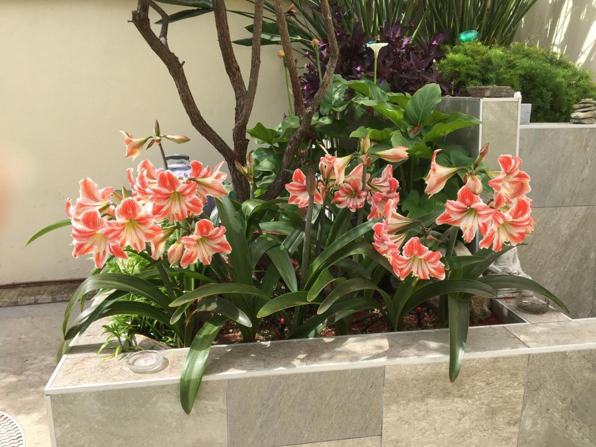 Apartamento Bizcocheros Con Piscina Y Jardin Privado جيريز المظهر الخارجي الصورة
